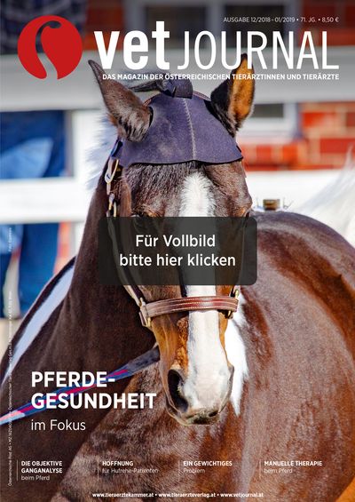 Vetjournal 12/2019-01/2020