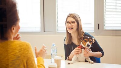 Start-Up Boom im Veterinärbereich