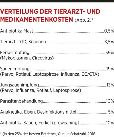 Abbildung 2 - Verteilung der Tierarzt- und Medikamentenkosten
