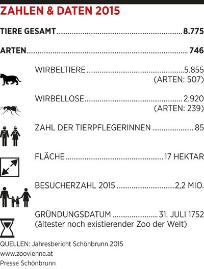 Abbildung 1 - Zahlen und Daten 2015