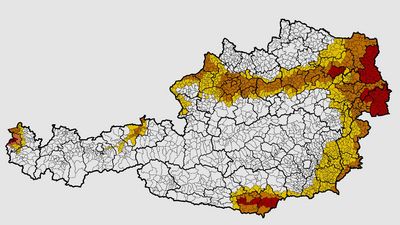 Dirofilariose in Österreich