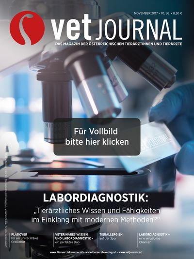 Vetjournal 11/2017