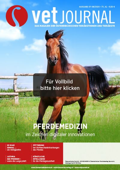 Vetjournal 07-08/2020