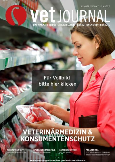 Vetjournal 11/2018