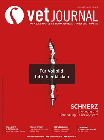 Vetjournal 06/2017