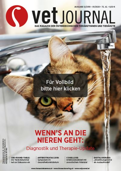 Vetjournal 12/2019-01/2020