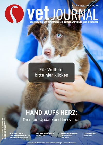 Vetjournal 11/2019