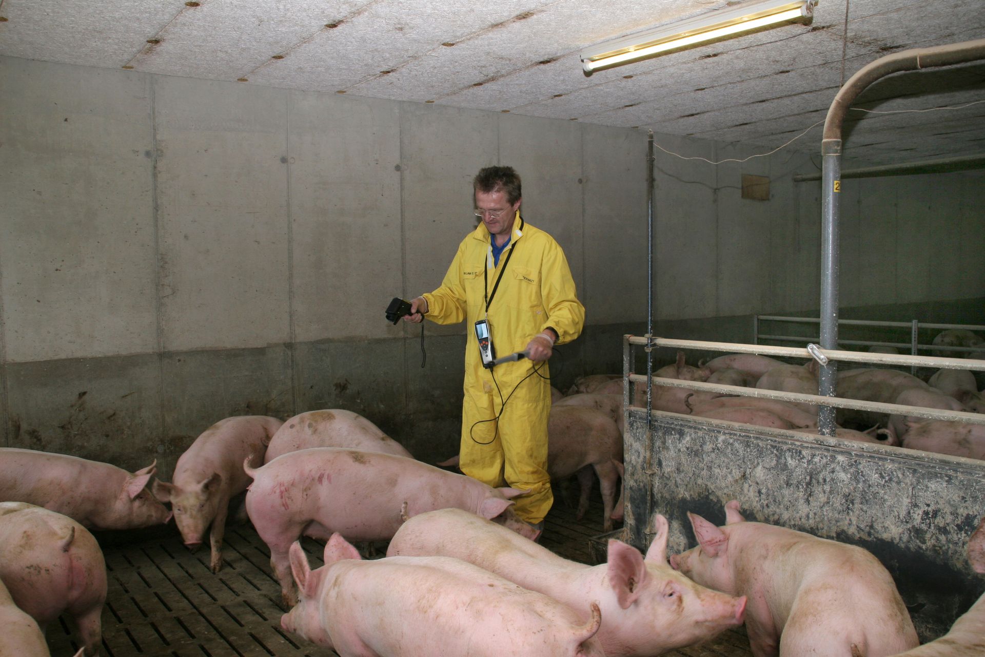 In einem gut geführten Haltungssystem (Stallklima und Fütterung) kann der Infektionsdruck reduziert werden. Das Ergebnis: Tiere sind in der Lage, Infektionen aus eigener Kraft standzuhalten.