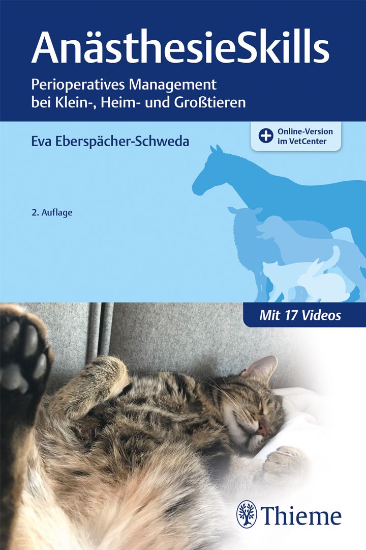 Euthanasie bei Hund und Katze