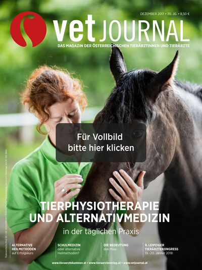 Vetjournal 12/2017