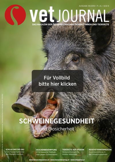 Vetjournal 09/2018