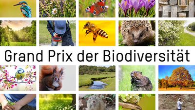Grand Prix der Biodiversität