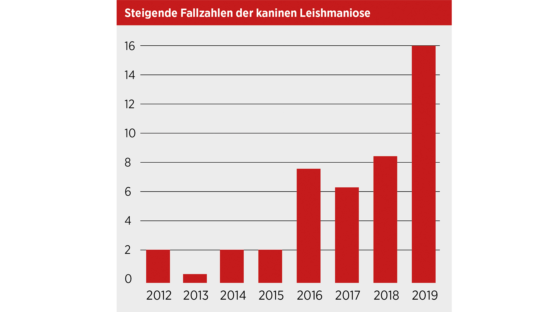 Leishmaniose beim Hund