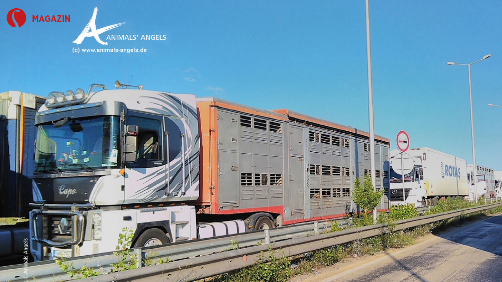 Tiertransporte in Drittstaaten Erwiderung