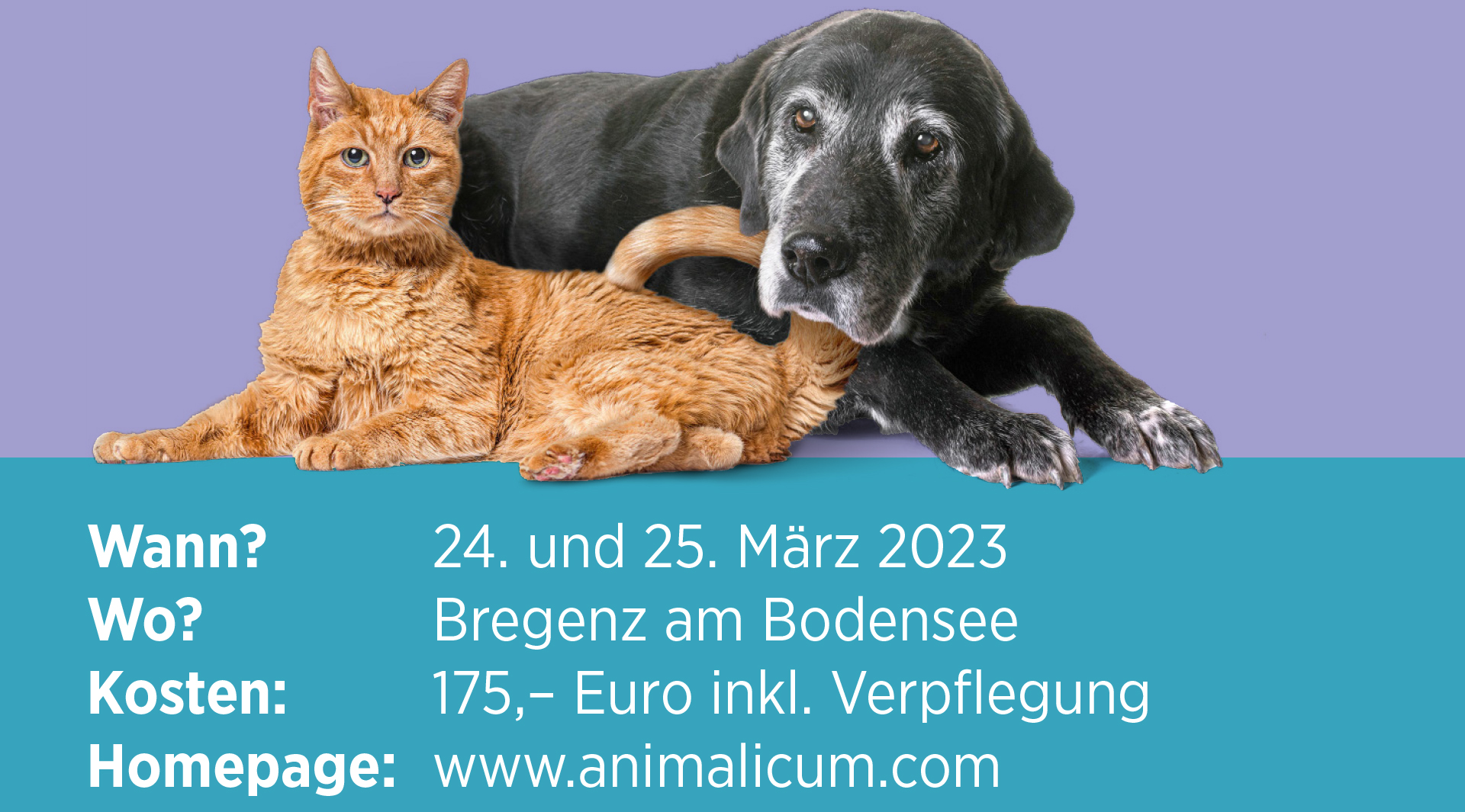 Animalicum 2023