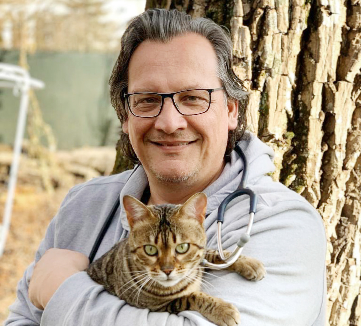 Hyperthyreose bei der Katze