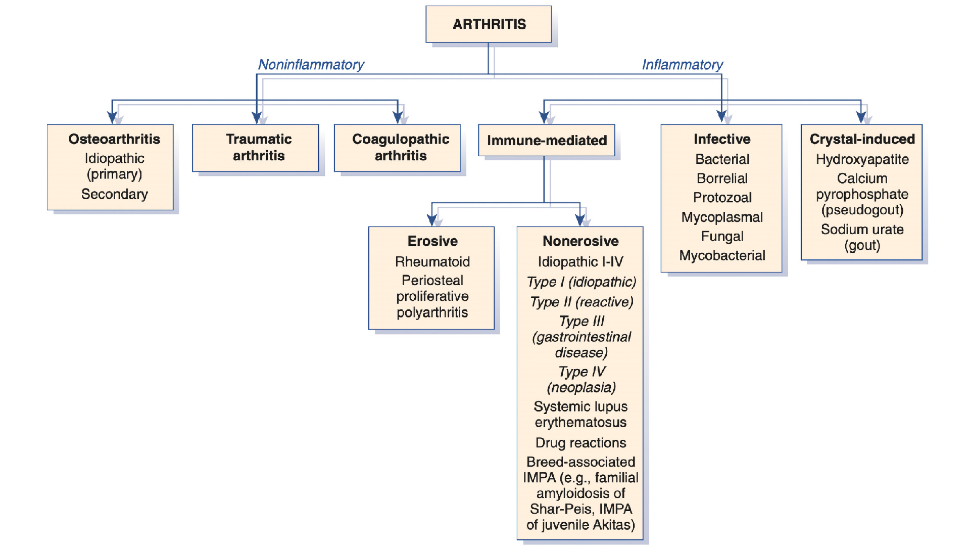 Osteoarthrose beim geriatrischen Patienten