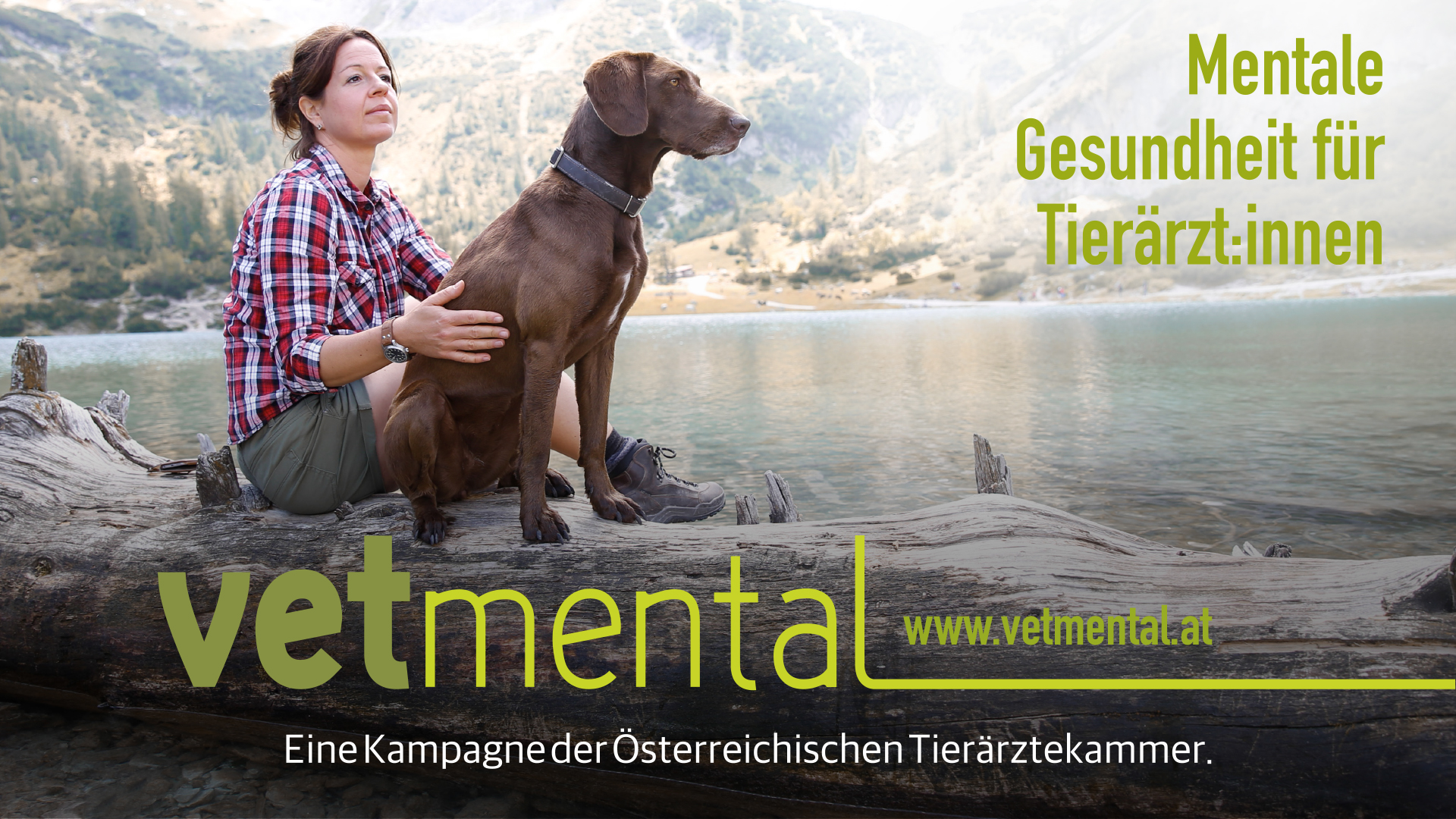 vetmental