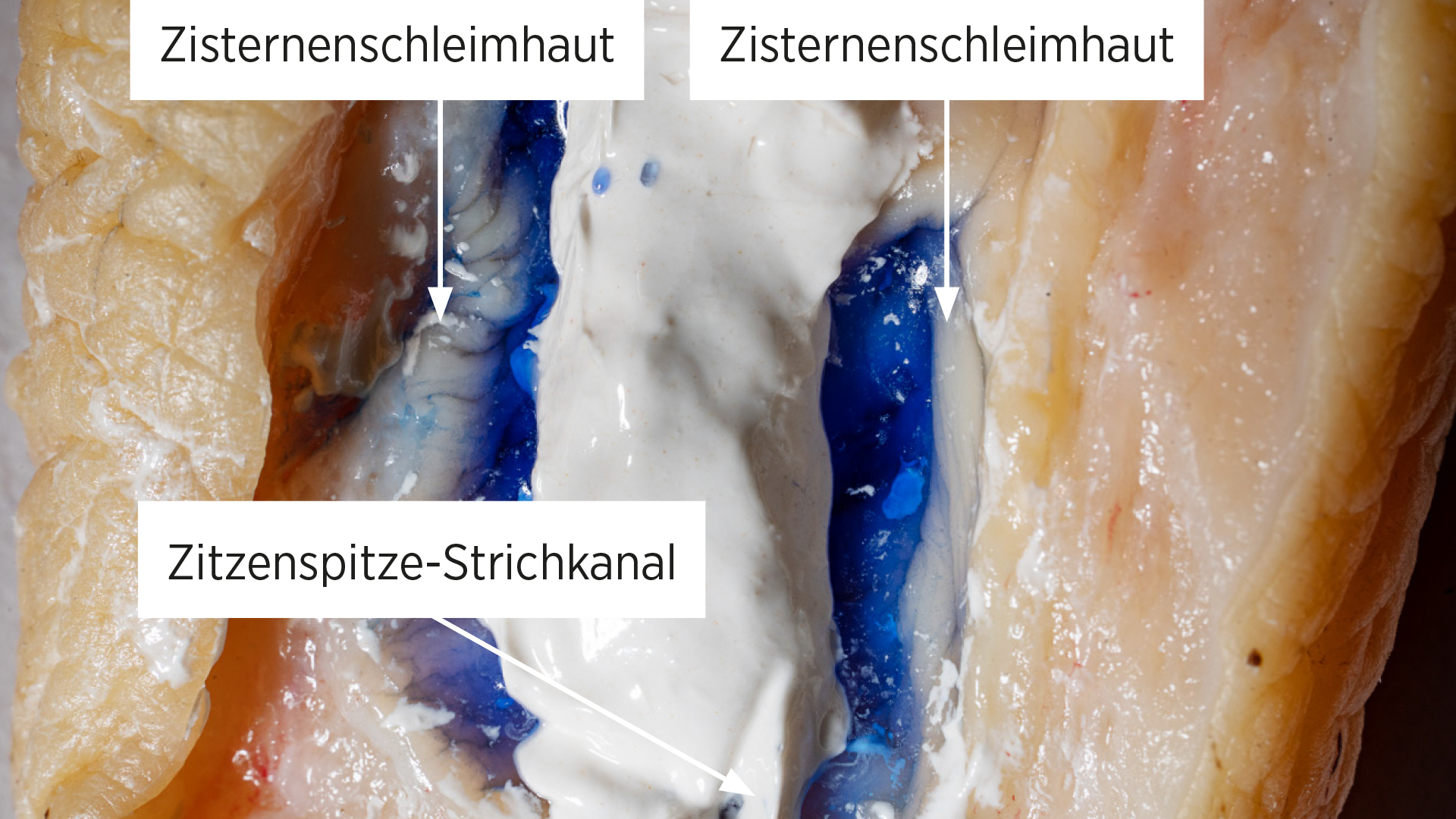 Trockenstellen