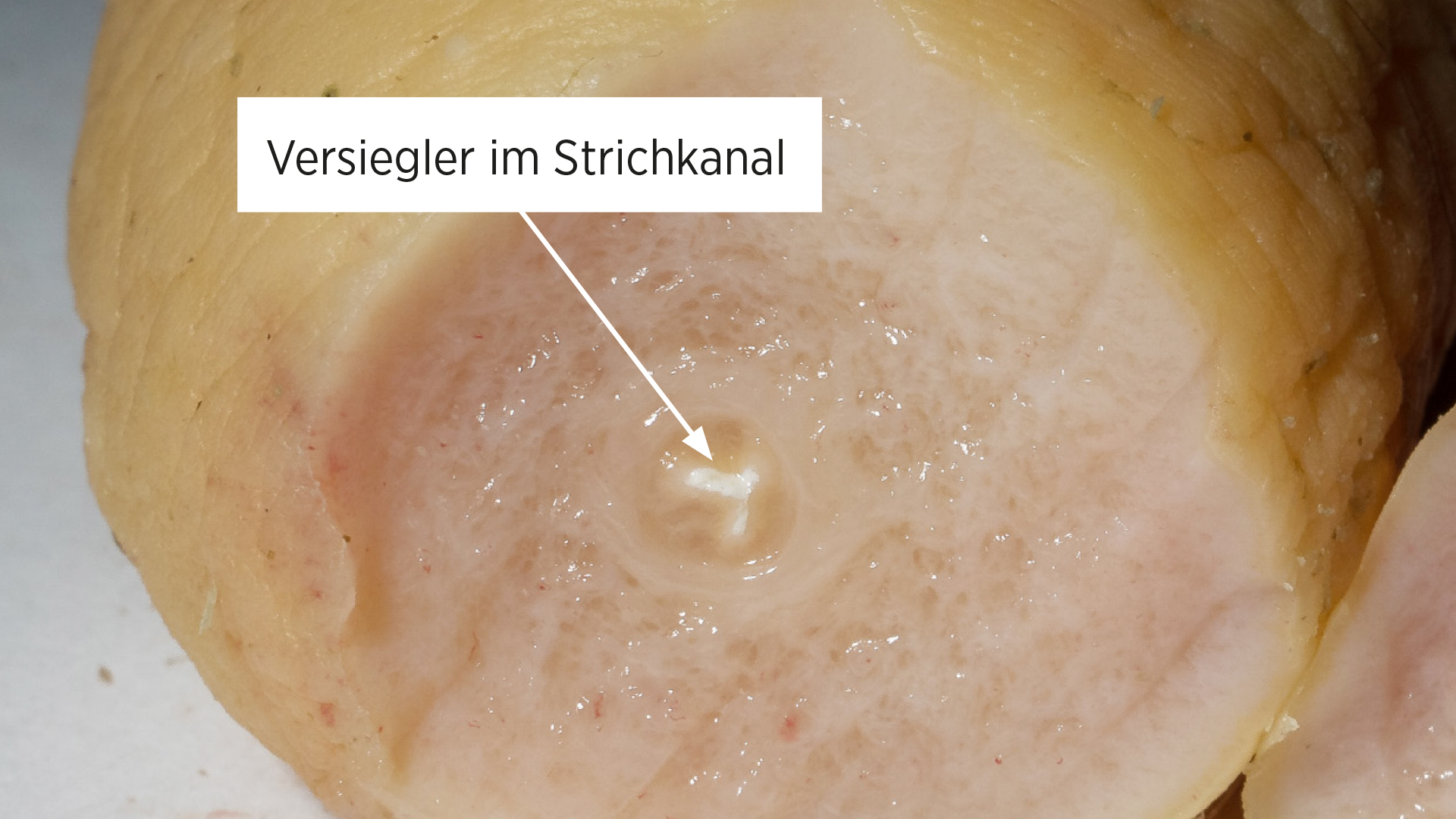 Trockenstellen