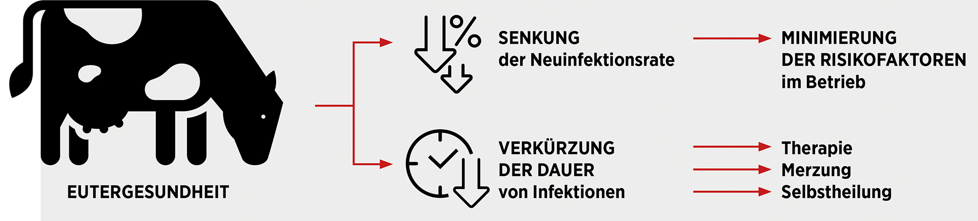 Mastitis im Kuhstall