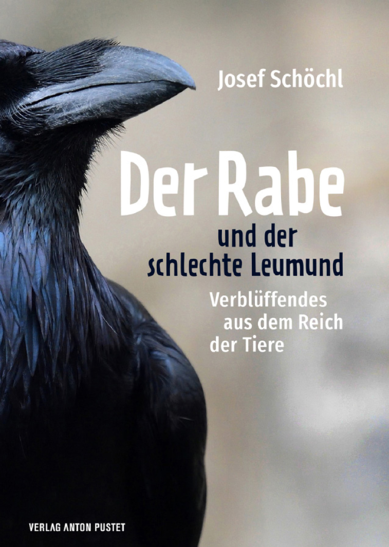 Josef Schöchl: „Der Rabe und der schlechte Leumund“
