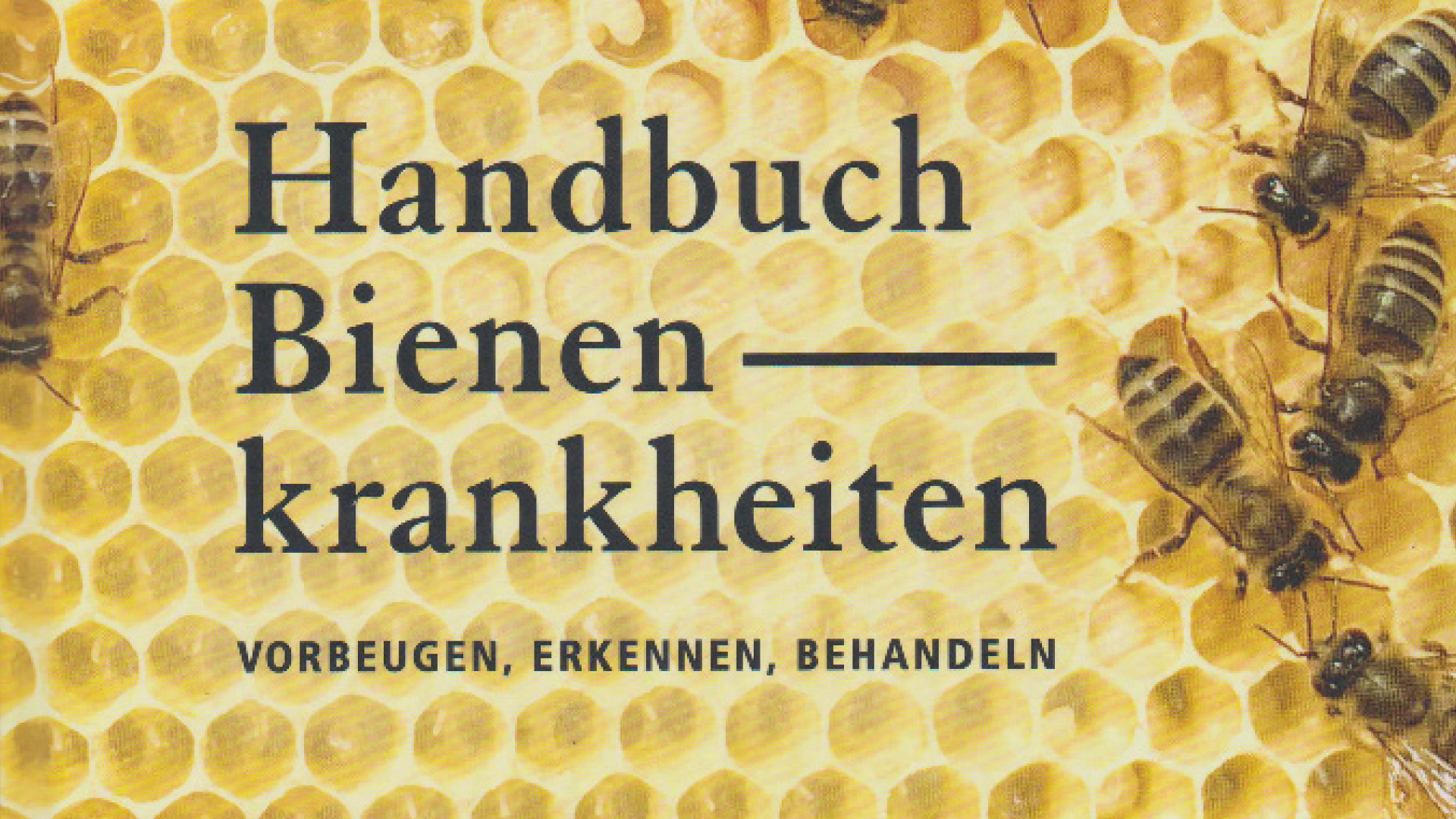 Buch-Bienenkrankheiten