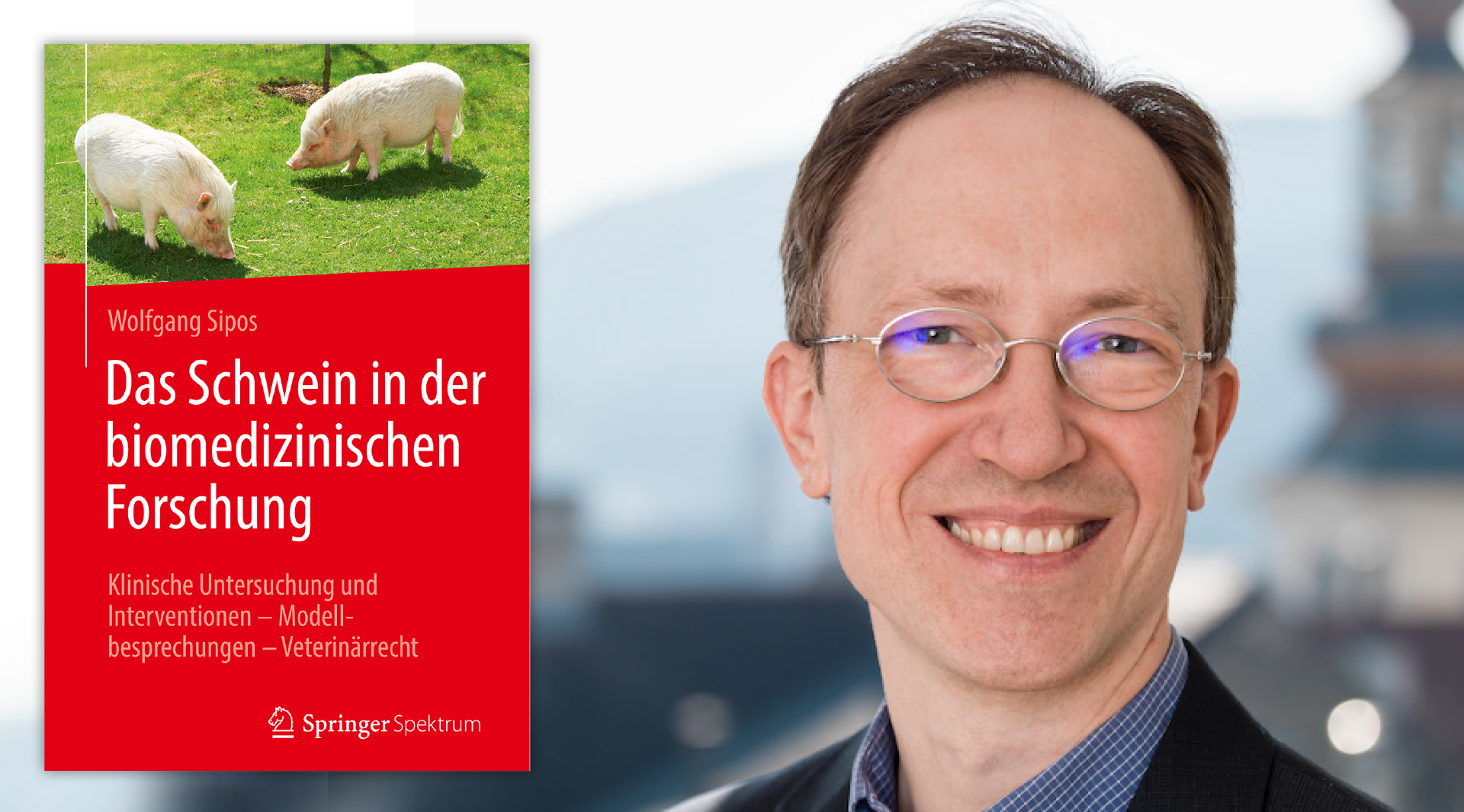 Das Schwein in der biomedizinischen Forschung