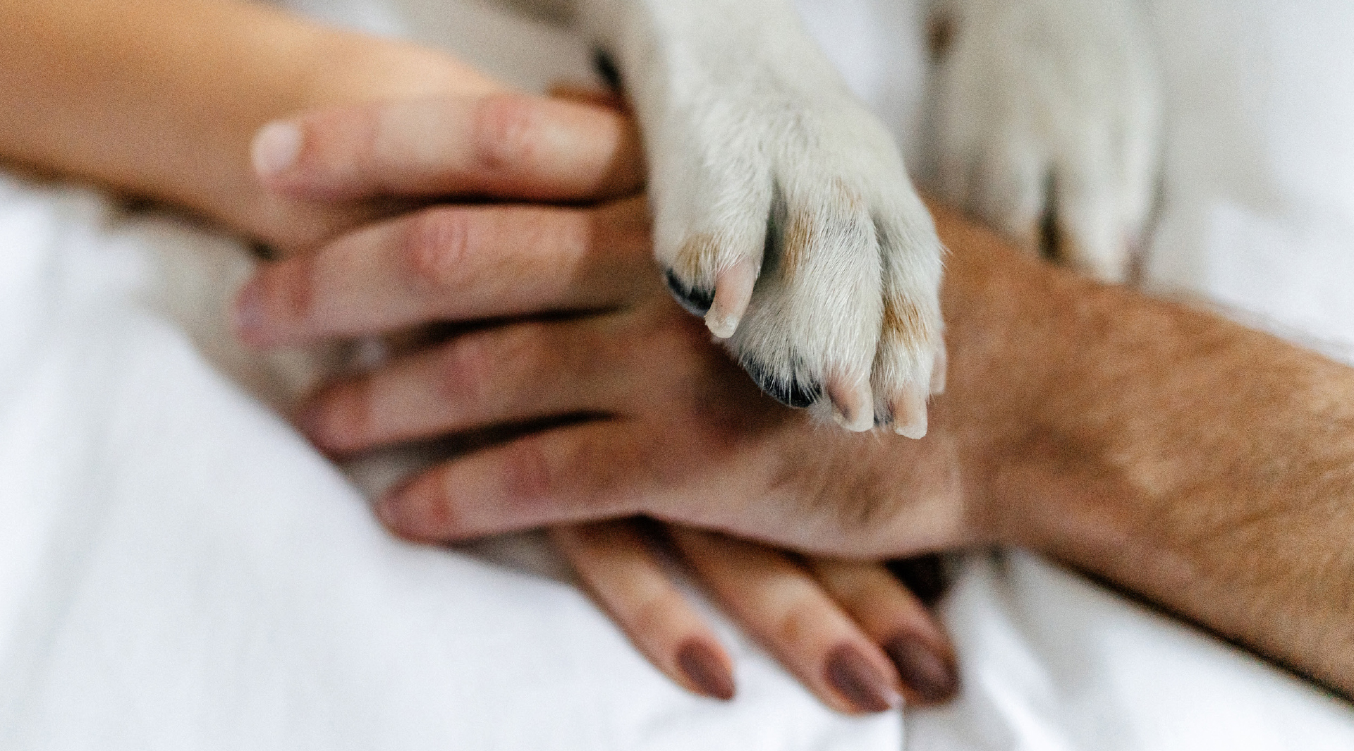 Vetmental: Das könnte ich nicht!