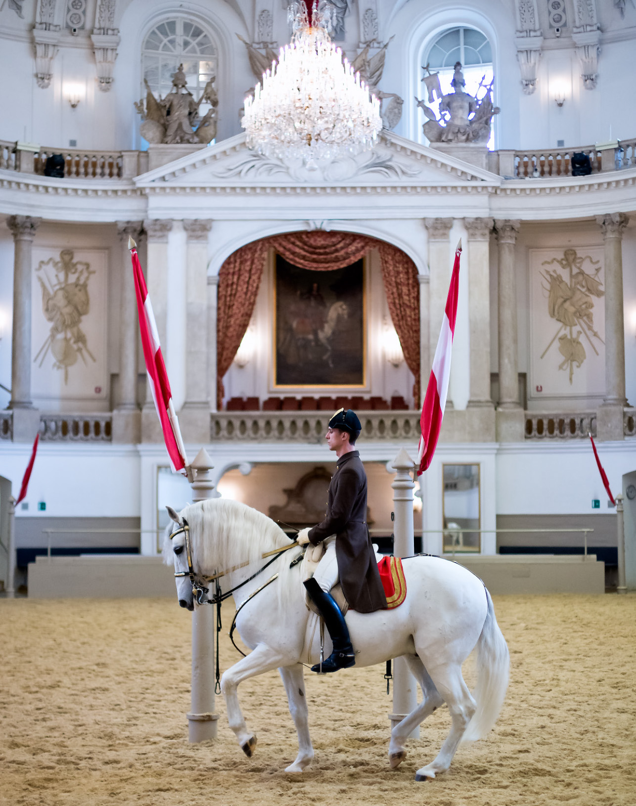 Die Lipizzaner – ein Blick hinter die Kulissen