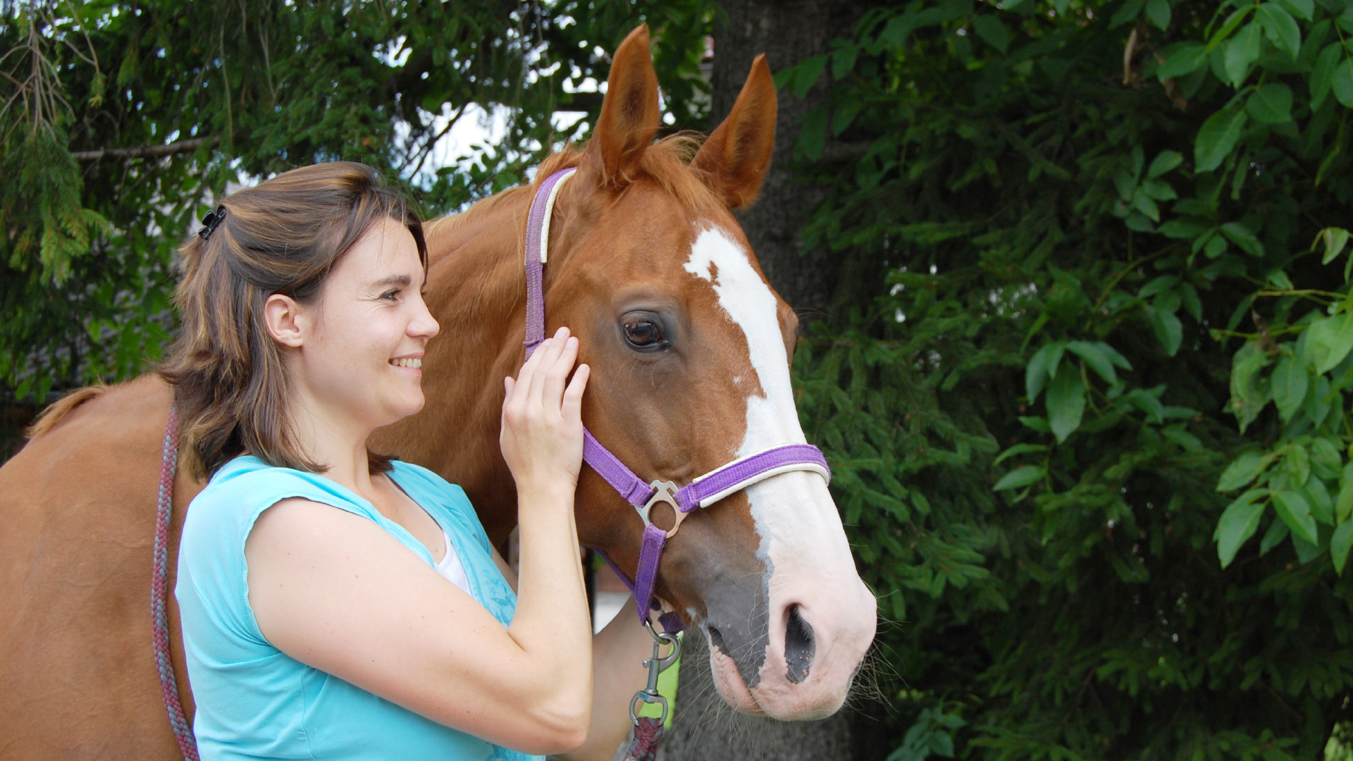 Manuelle Therapie beim Pferd