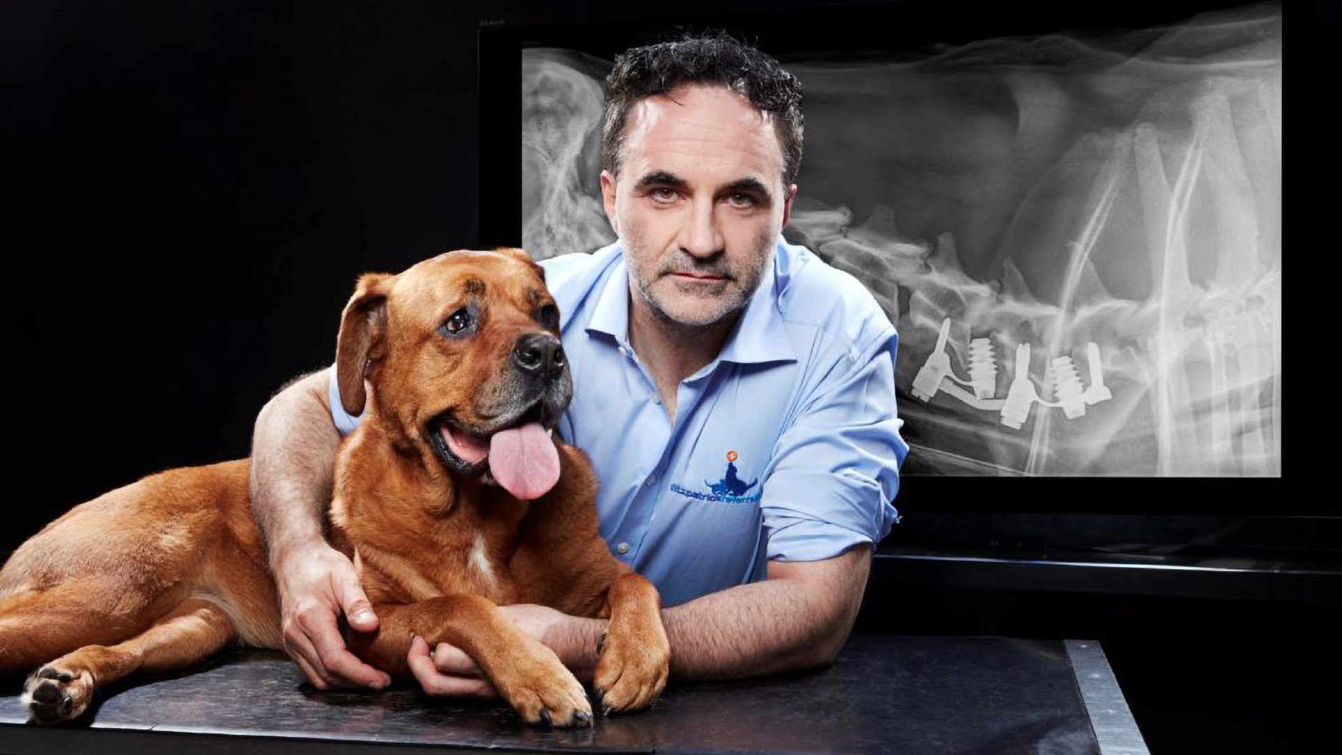 Supervet