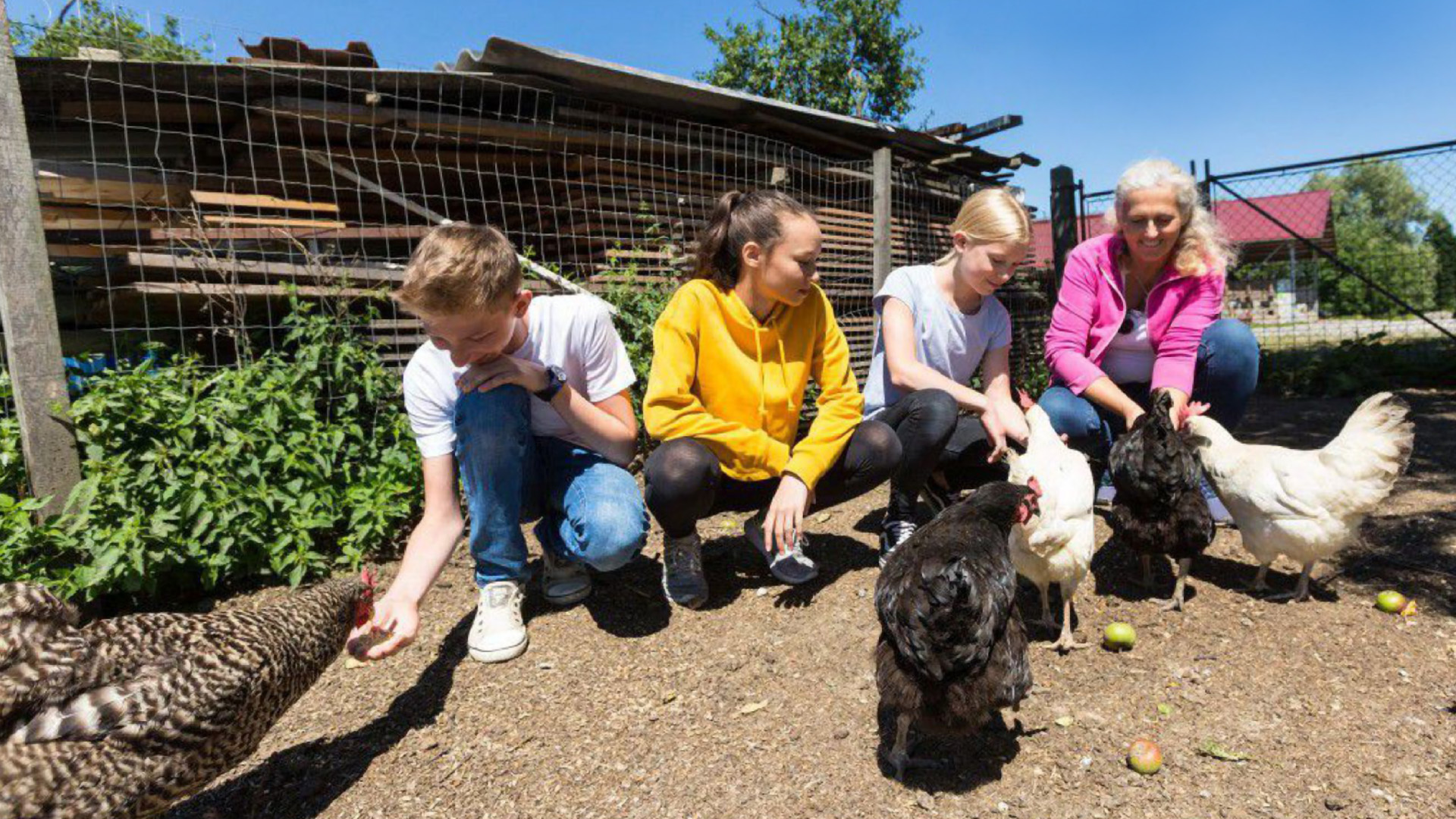 „Tierschutz macht Schule“ 