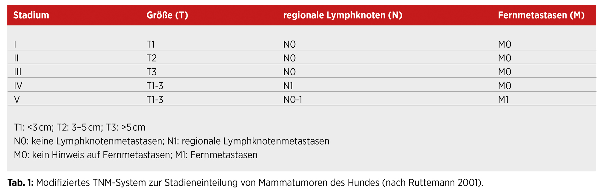 Tumorstaging