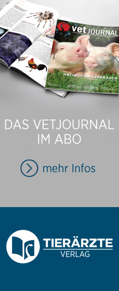 Banner - Das Vetjournal im Abo