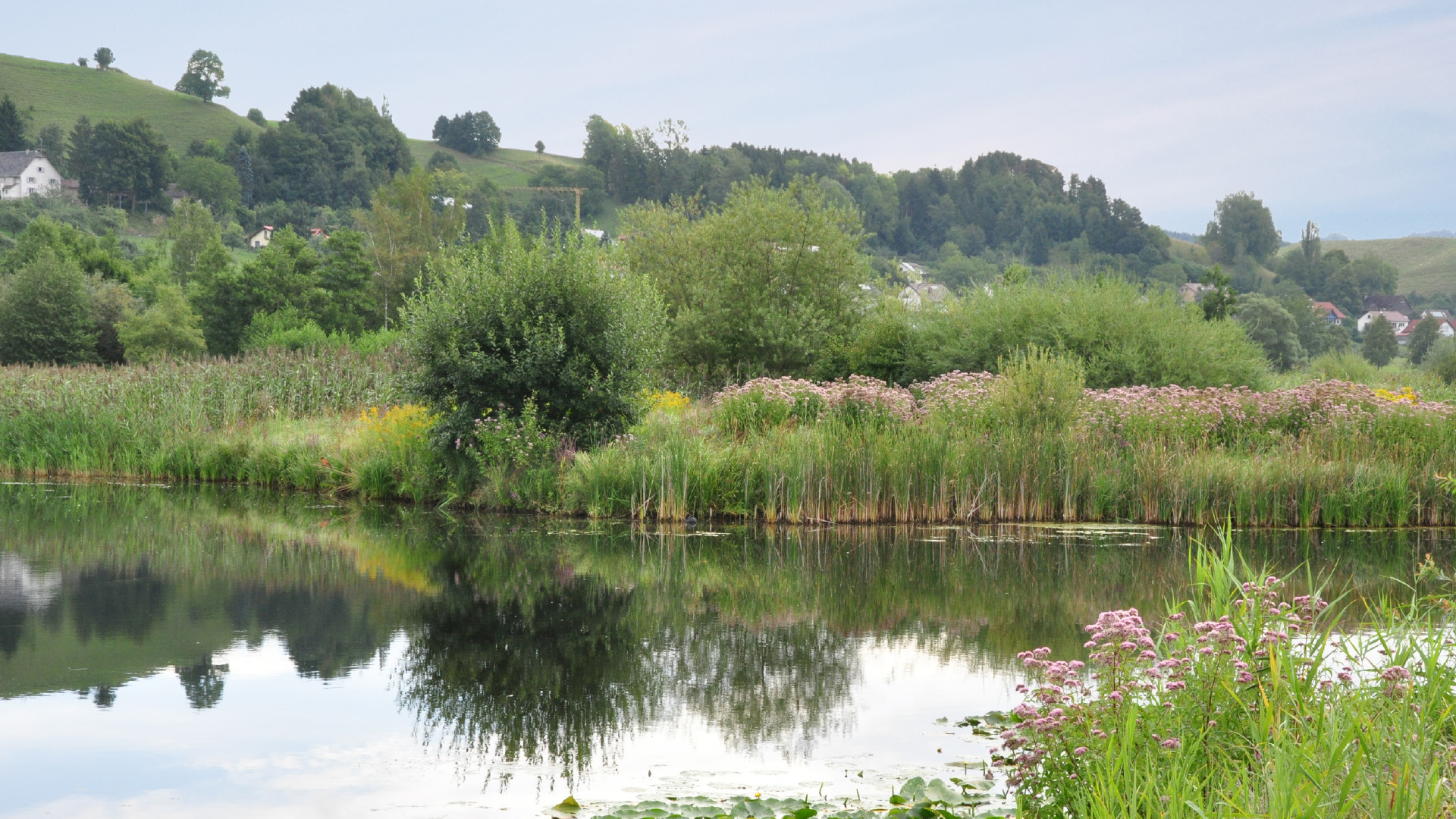 Ein Biotop ?für jedes Dorf