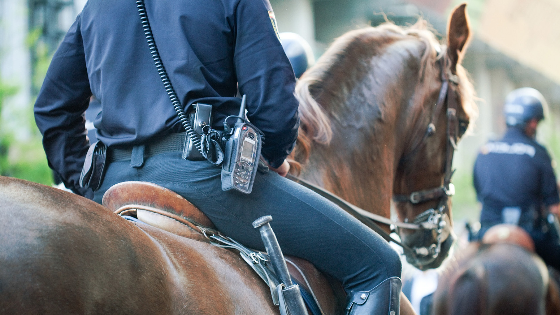 Polizeipferde für Wien