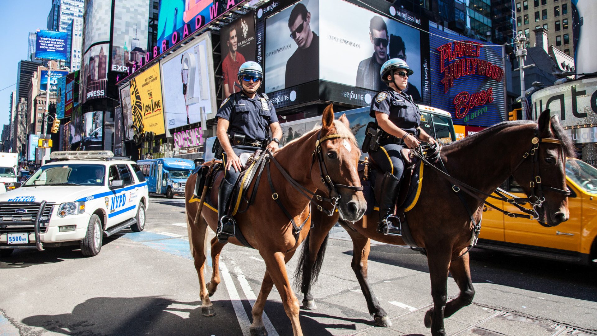 Polizeipferde für Wien