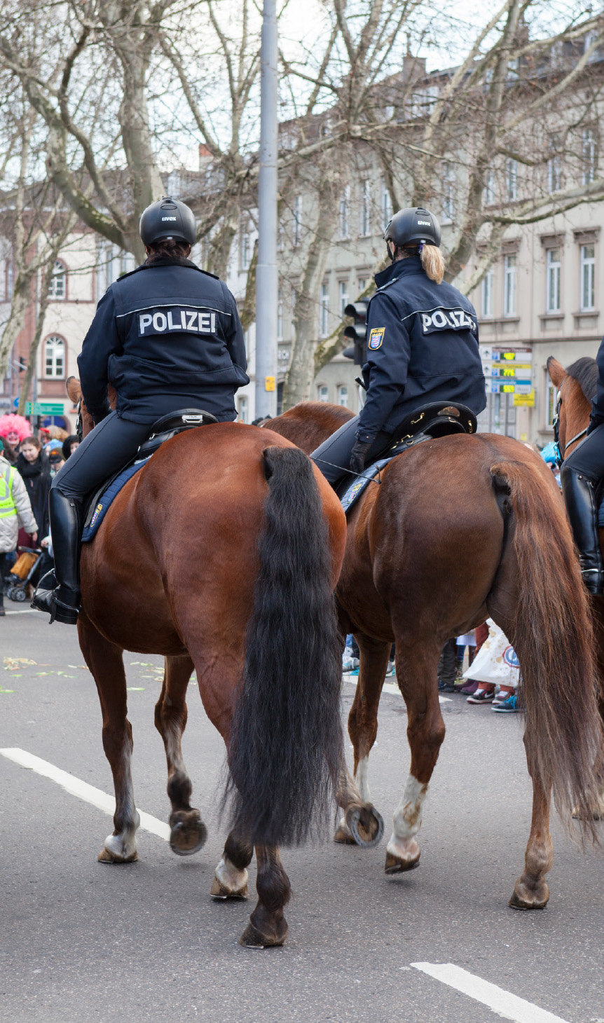 Polizeipferde für Wien