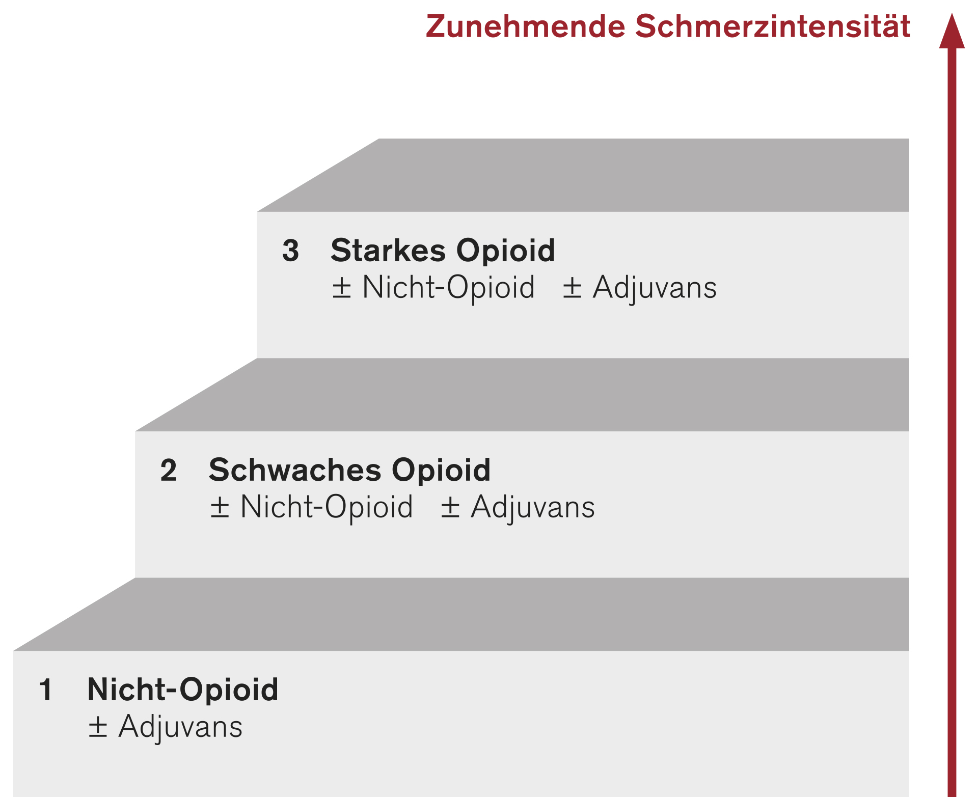 Medikamentöse Schmerztherapie bei Kleintieren